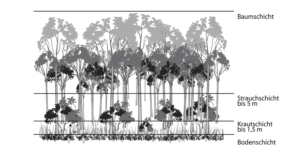 stockwerke_wald-2.png
