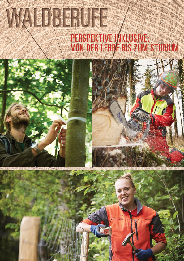 waldberufe_2019_de.pdf